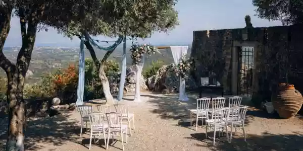 Olive Grove