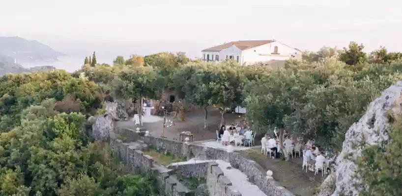Olive Grove