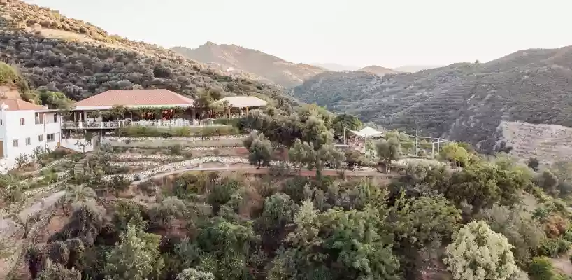 Paradise Gardens