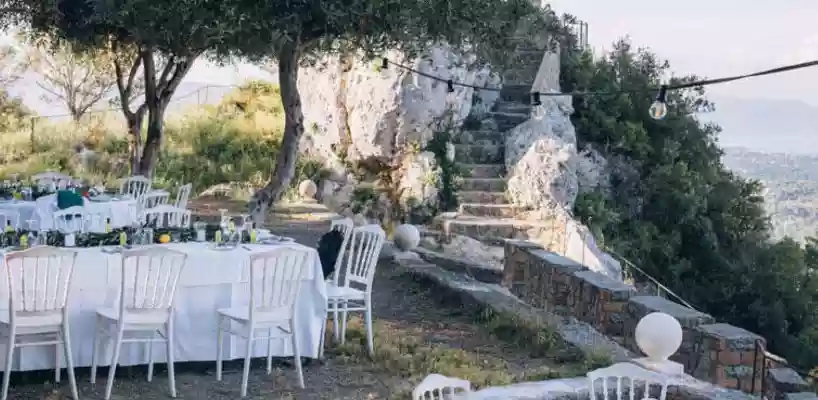 Olive Grove